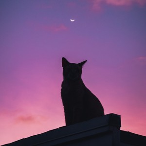 Preciso Me Encontrar