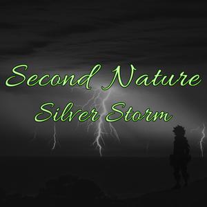 Second Nature (Acoustic)