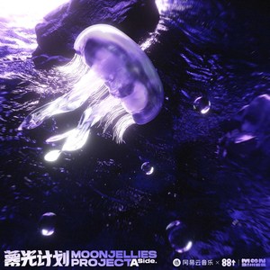 今夜全世界都在失眠 (Single Version)