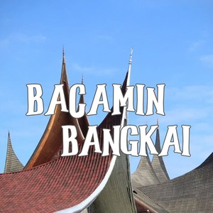 Bacamin Bangkai