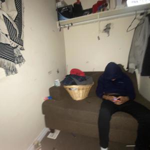 benihanas and gabana (izaya) (Explicit)