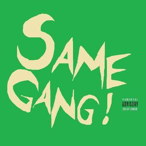 Same Gang (feat. Njabulo Goba, Philani Nkandii, Strings TM, Sumthing Yellow & Rolene Cathlene) [Explicit]