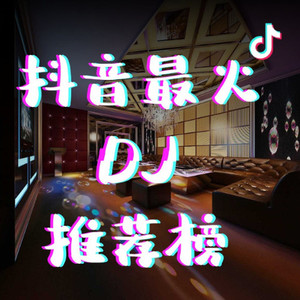 奈奈 - 如愿 (DJ沈念版)