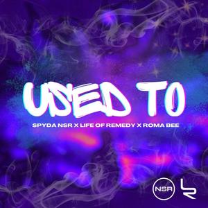 Used To (feat. Life of Remedy & Roma Bee) (Explicit)