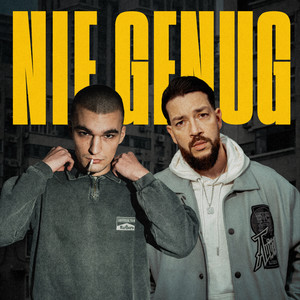 Nie genug (Explicit)
