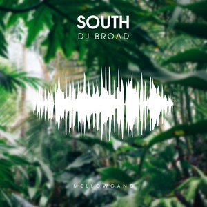 South (Original Mix)