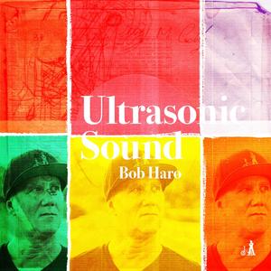 Ultrasonic Sound