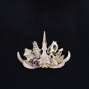 living has become a burden (Explicit)