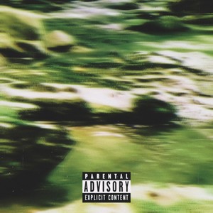 SPRUCE RUN (feat. COSMICSAAM & $) (Explicit)