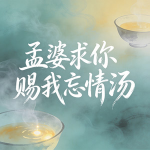 孟婆求你赐我忘情汤 (沧桑版)封面