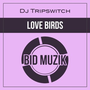 Love Birds (Edit)