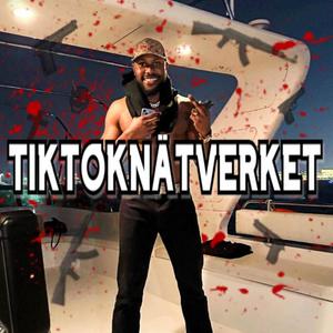 TIKTOKNÄTVERK