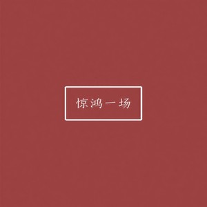 惊鸿一场