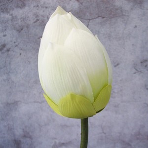 春秋范蠡伴奏 (伴奏)