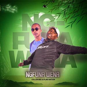 Ngfuna Wena (feat. Plaki Nation)