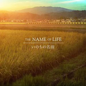 Inochi no Namae (feat. Amanda Achen & Chewie Melodies)