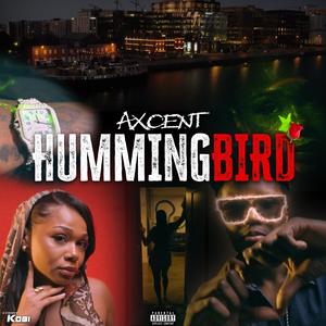 Hummingbird (Explicit)