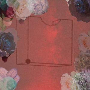 Seashell Cluster - Undercover Boy