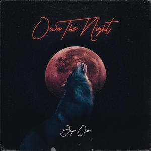 Own The Night (feat. Morgan Meadows)