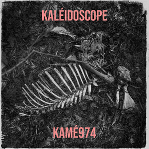 Kaléidoscope