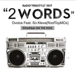 2 WORDS (Radio Edit)