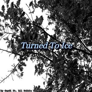 TURNED TO ICE(feat. Lil Sebbie & BK Music) (Explicit)