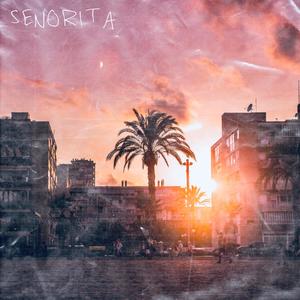 Senorita (feat. Gla$s) [Explicit]