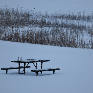 Fall Back (Explicit)