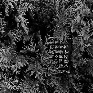 Mt. Rose (feat. CharlestheFirst)