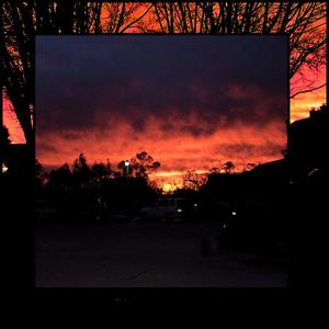 Rare Tribute (feat. ElijahG) (Explicit)