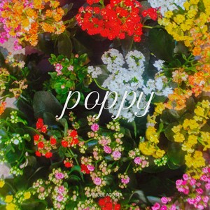 poppy