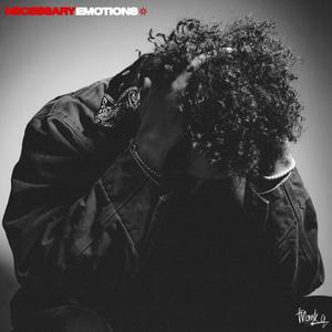 Necessary Emotions (Explicit)