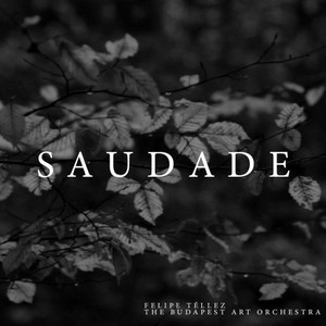 Saudade (Original Motion Picture Soundtrack)