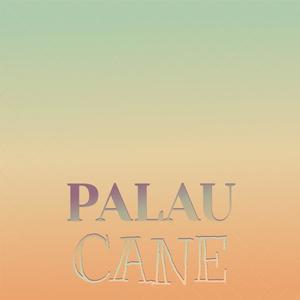 Palau Cane