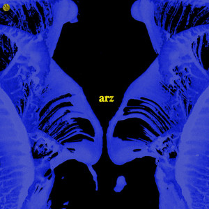 Arz