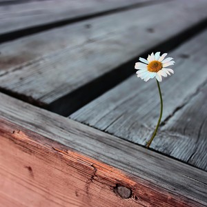 全世界谁倾听你