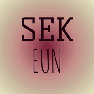 Sek Eun