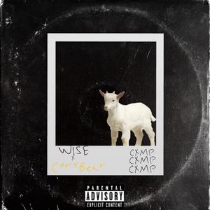 WISE (Explicit)