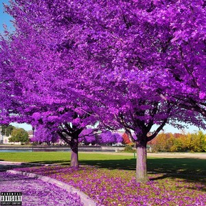 Déjame Pensarte Solo Hoy (Explicit)