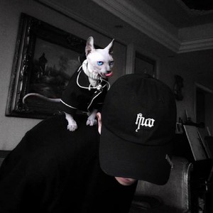 乌鸦电摆 (Remix)