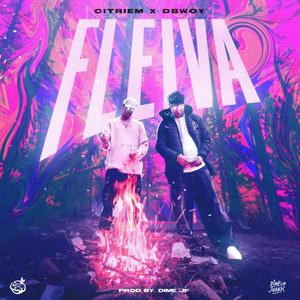 FLEIVA (Explicit)