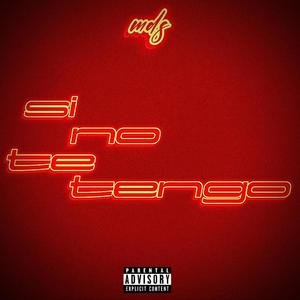 SI NO TE TENGO