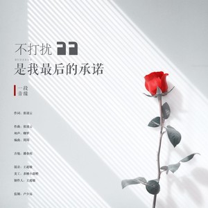 不打扰是我最后的承诺