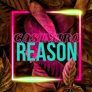 Reason(feat. Skyrick) (Special Version)