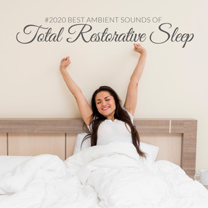 #2020 Best Ambient Sounds of Total Restorative Sleep