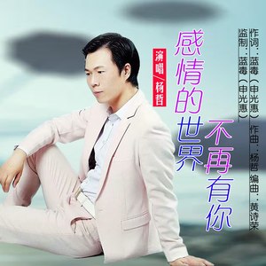 感情的世界不再有你