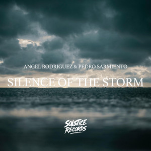 Silence Of The Storm (Original Mix)