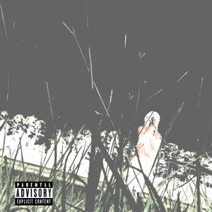 STATE OF THE WATER (Explicit)