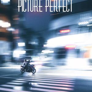 Picture Perfect (Explicit)