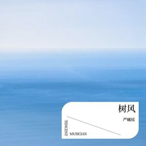 树风封面
